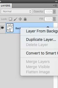 duplicate-layer